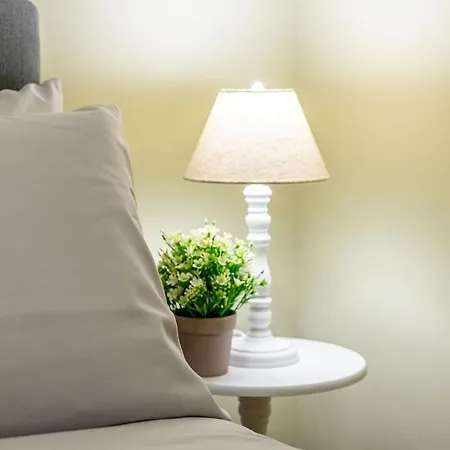 Super - Antique Flat * Bolonia